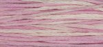 (image for) Sophia's Pink